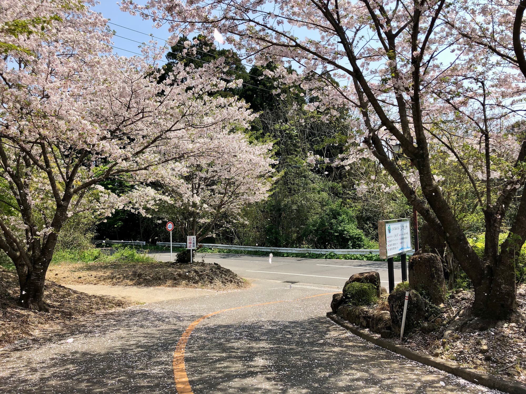 立縫会、春の景色